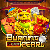 RTP joker powerplay128