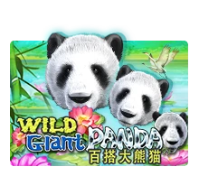 Wild Giant Panda - POWERPLAY128