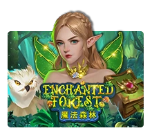 Enchanted Forest - POWERPLAY128